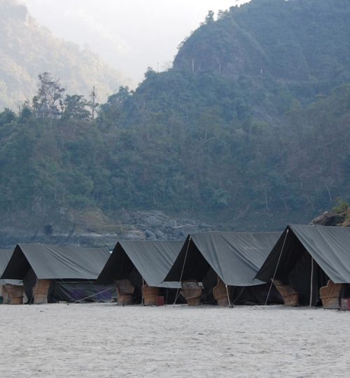 camp