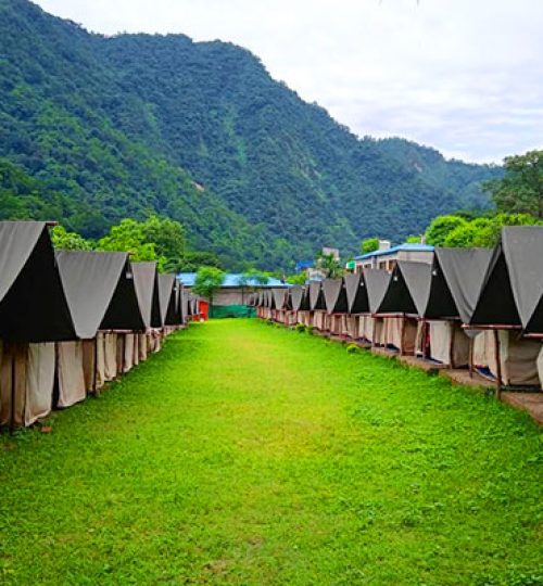 camp4